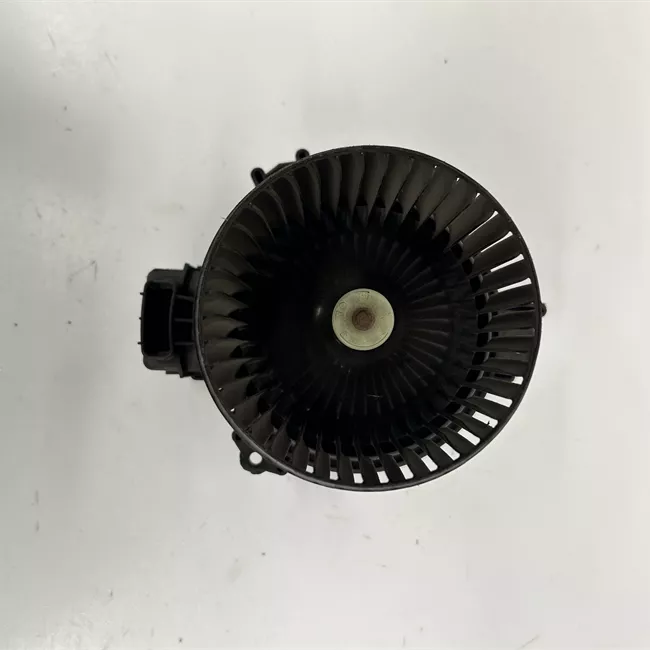 Motorino ventilazione abitacolo