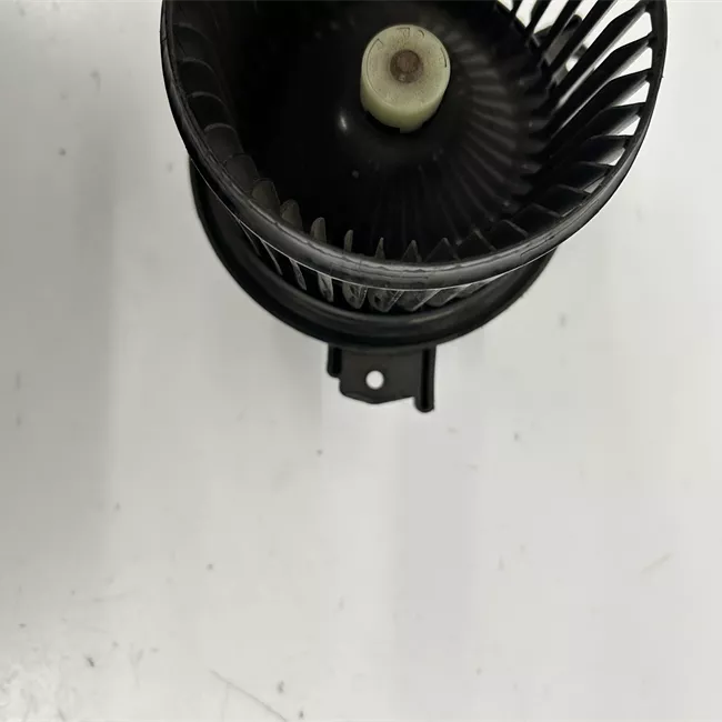 Motorino ventilazione abitacolo