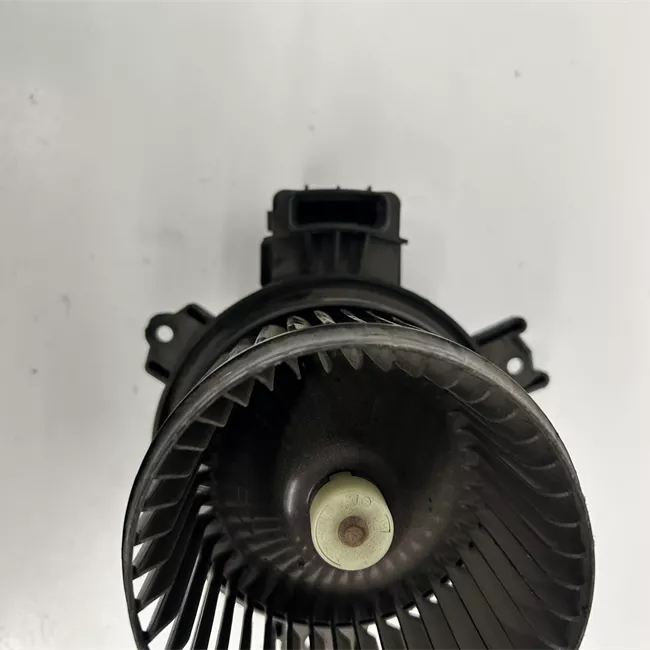 Motorino ventilazione abitacolo