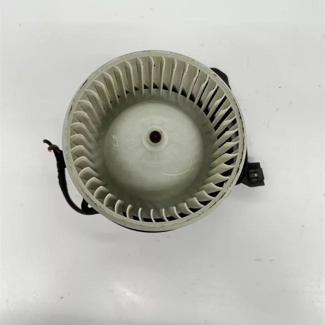 Motorino ventilazione abitacolo