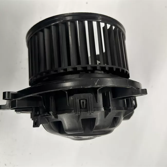 Motorino ventilazione abitacolo