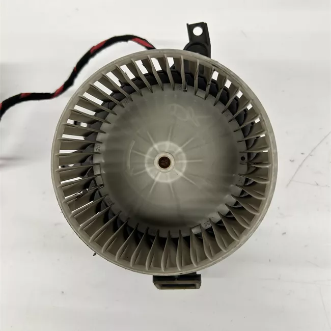 Motorino ventilazione abitacolo