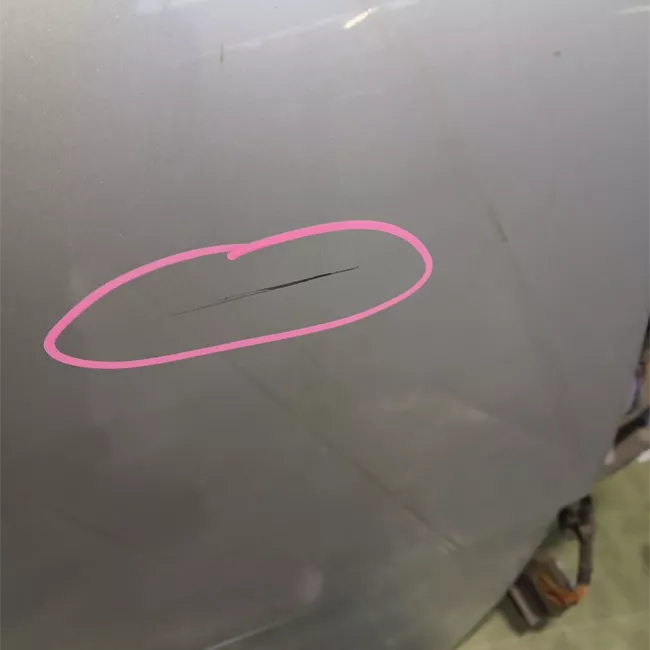 Pannello esterno porta anteriore destro primer