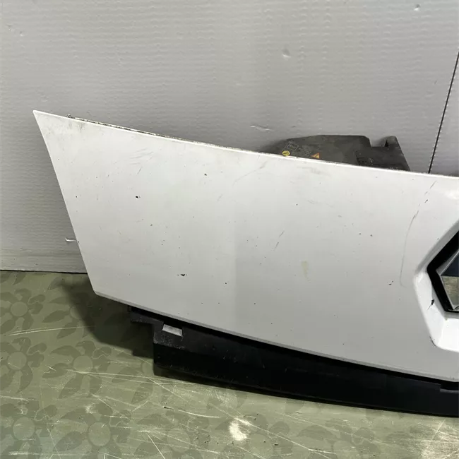 Griglia inferiore paraurti anteriore