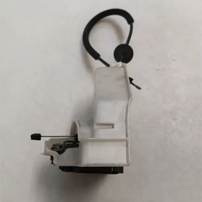 Serratura porta posteriore sinistra