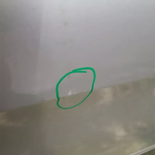 Porta anteriore destra