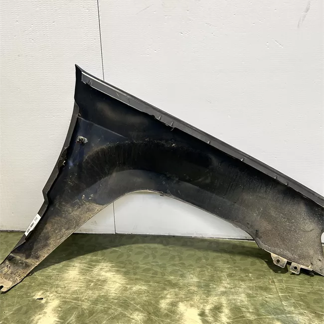 Parafango anteriore sinistro