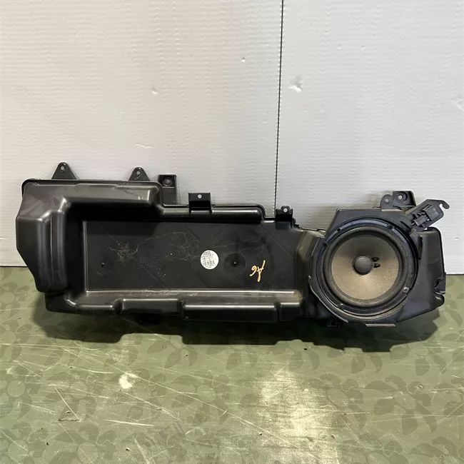 Altoparlante porta anteriore sinistro