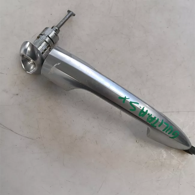 Maniglia porta anteriore sinistra