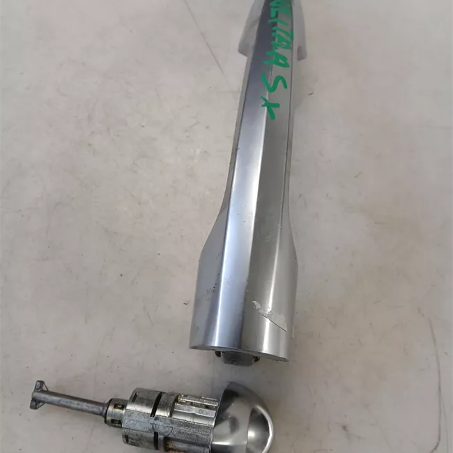 Maniglia porta anteriore sinistra