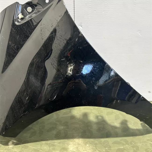 Parafango anteriore sinistro