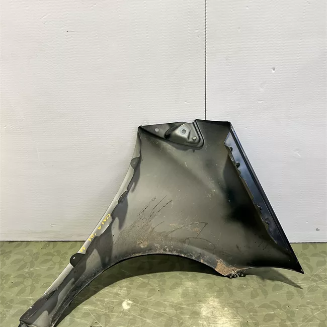 Parafango anteriore sinistro