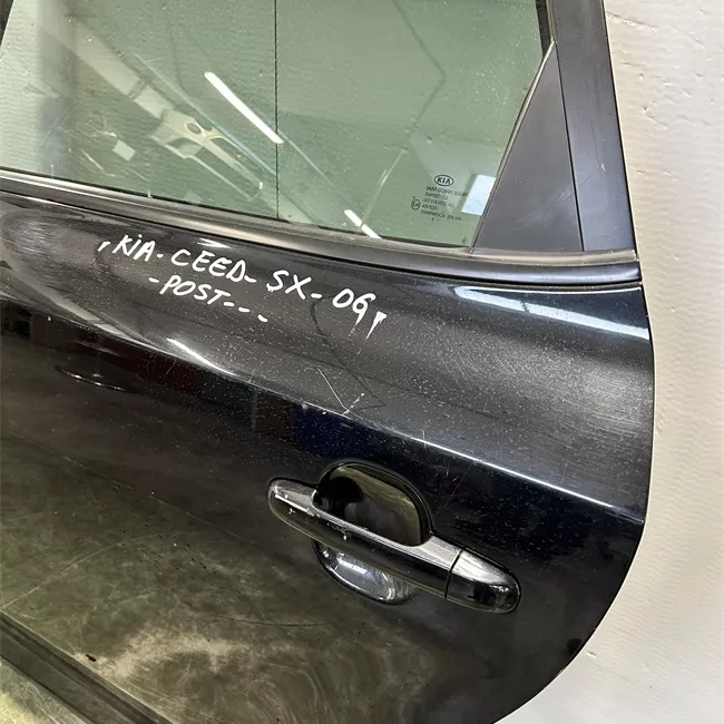 Porta posteriore sinistra