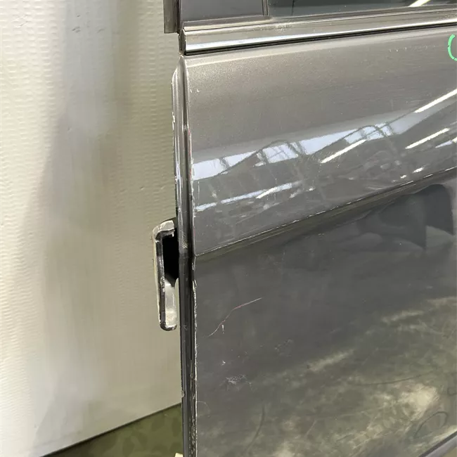 Porta posteriore sinistra TDW