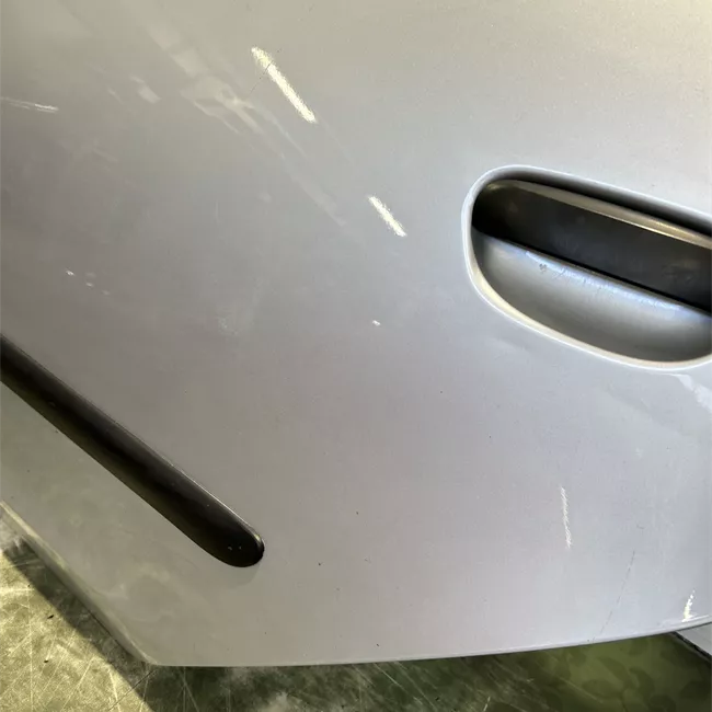 Porta posteriore sinistra