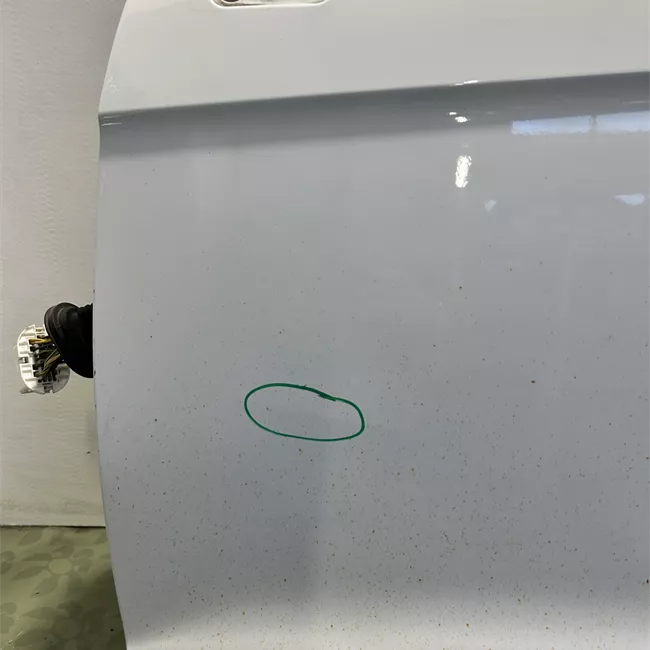 Porta anteriore sinistra VFT