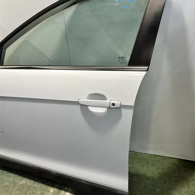 Porta anteriore sinistra VFT