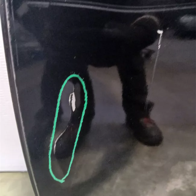 Porta posteriore sinistra