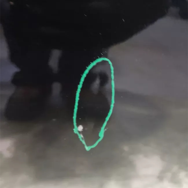 Porta posteriore sinistra