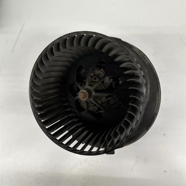 Motorino ventilazione abitacolo