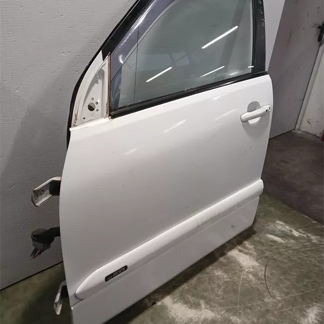 Porta anteriore sinistra con fascioni