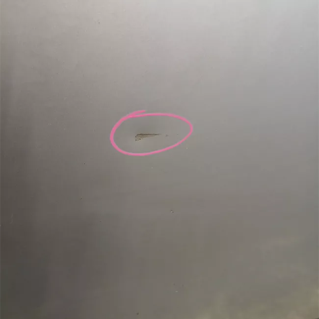 Porta posteriore sinistra