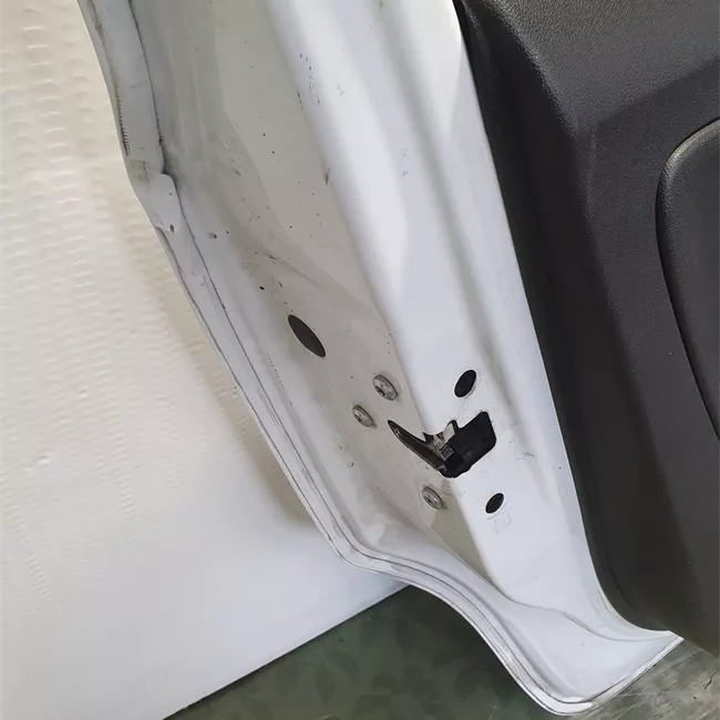 Porta posteriore sinistra