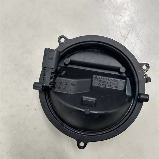 Maniglia portello posteriore con stemma/microinterr