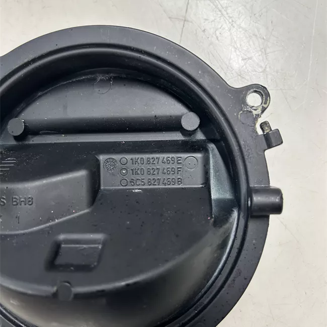 Maniglia portello posteriore con stemma/microinterr