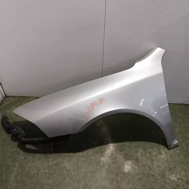 Parafango anteriore sinistro