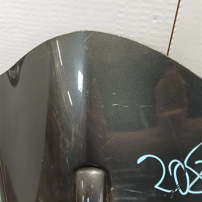 Porta posteriore sinistra