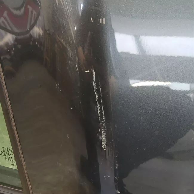 Porta posteriore sinistra