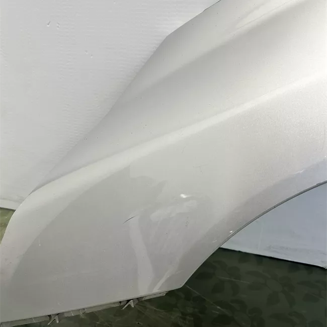 Parafango anteriore sinistro