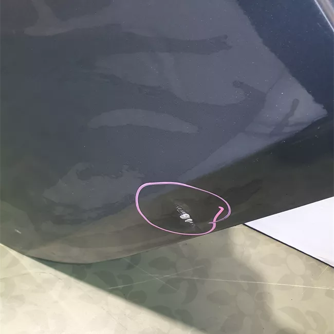 Porta posteriore destra