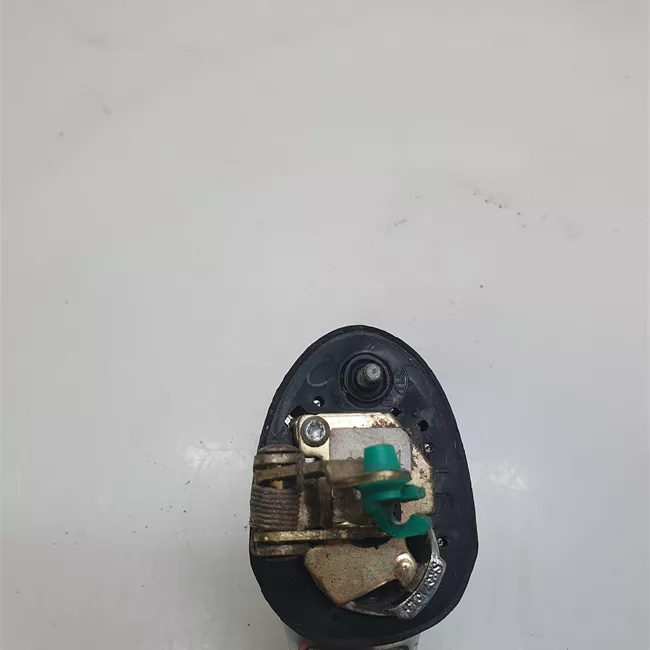 Maniglia porta anteriore sinistra