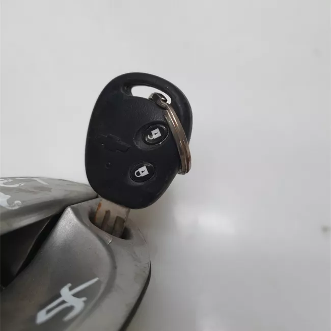 Maniglia porta anteriore sinistra primer