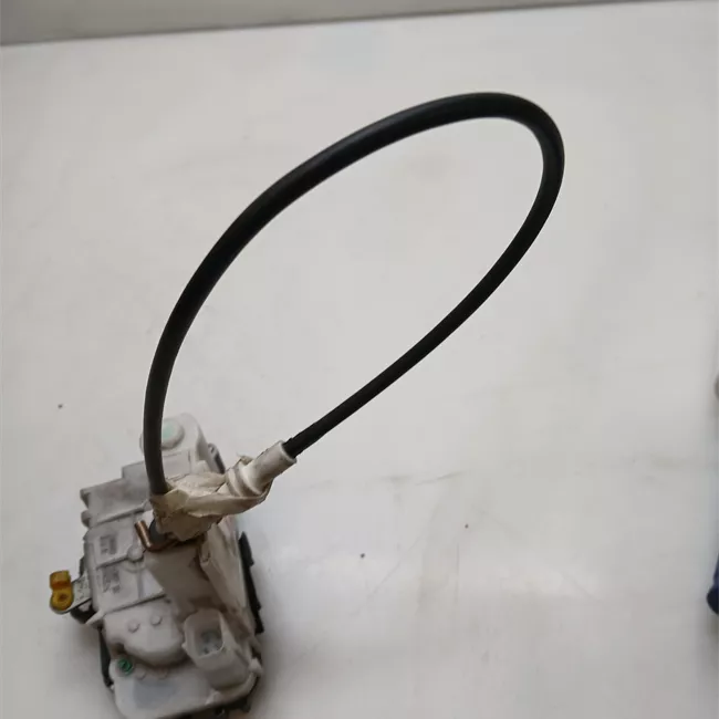 Serratura porta posteriore sinistra