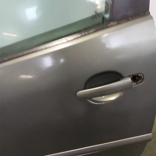 Pannello esterno porta anteriore sinistro