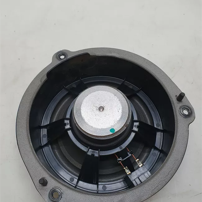Altoparlante porta posteriore destro