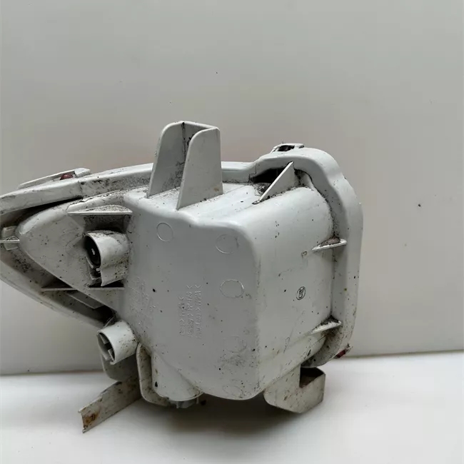 Fanale retronebbia destro