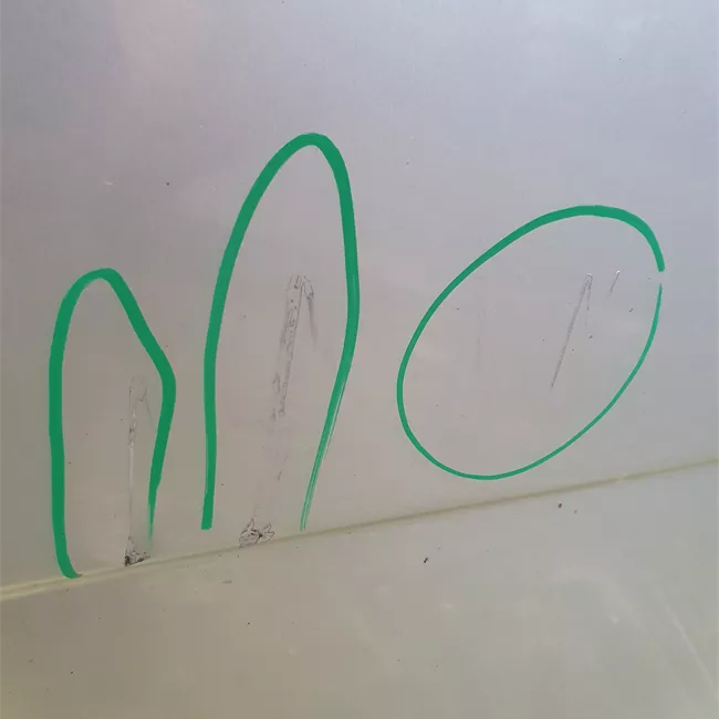 Porta anteriore sinistra