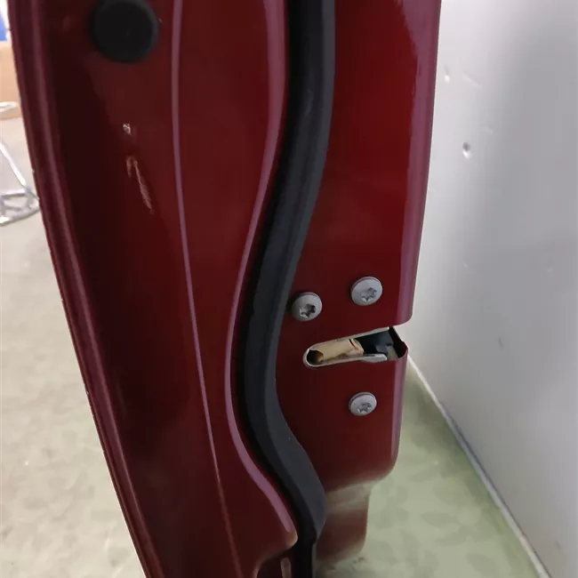 Porta anteriore sinistra