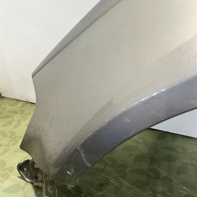 Parafango anteriore sinistro