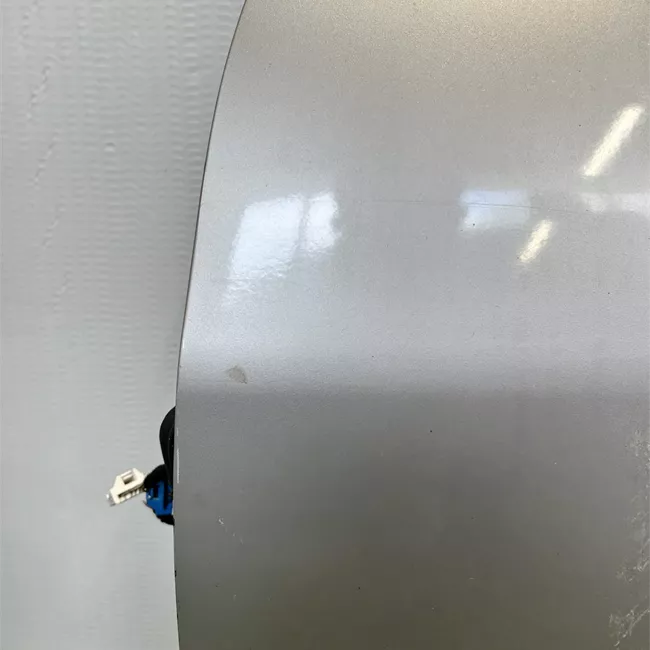 Porta anteriore sinistra