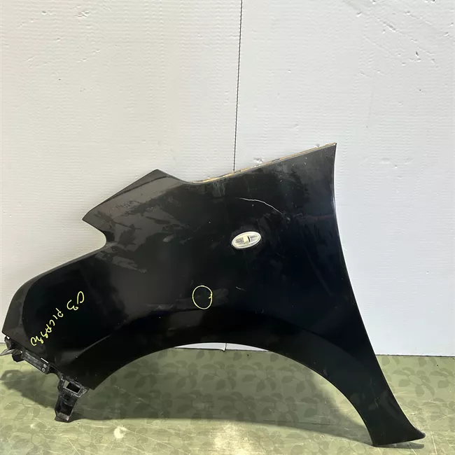 Parafango anteriore sinistro