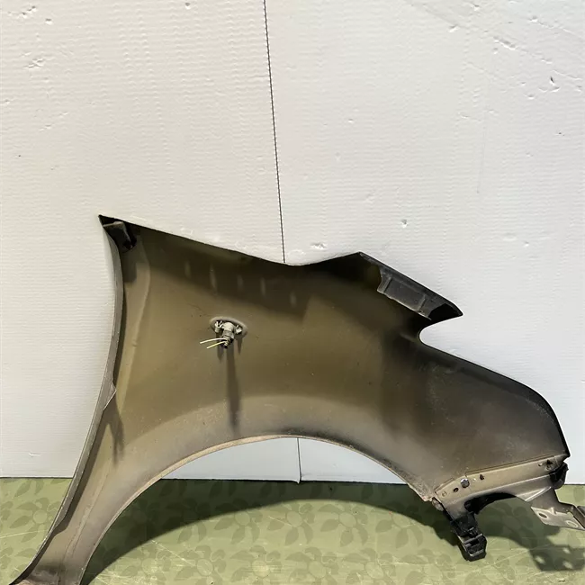 Parafango anteriore sinistro