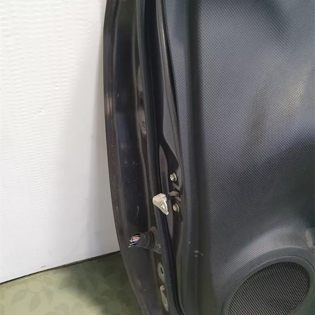 Porta anteriore destra