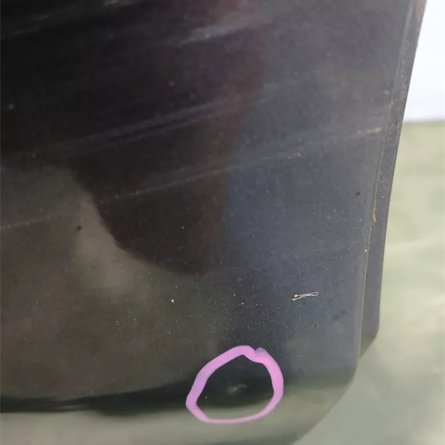 Porta posteriore destra