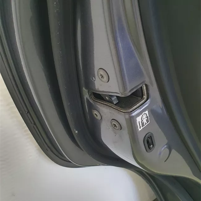 Porta posteriore sinistra