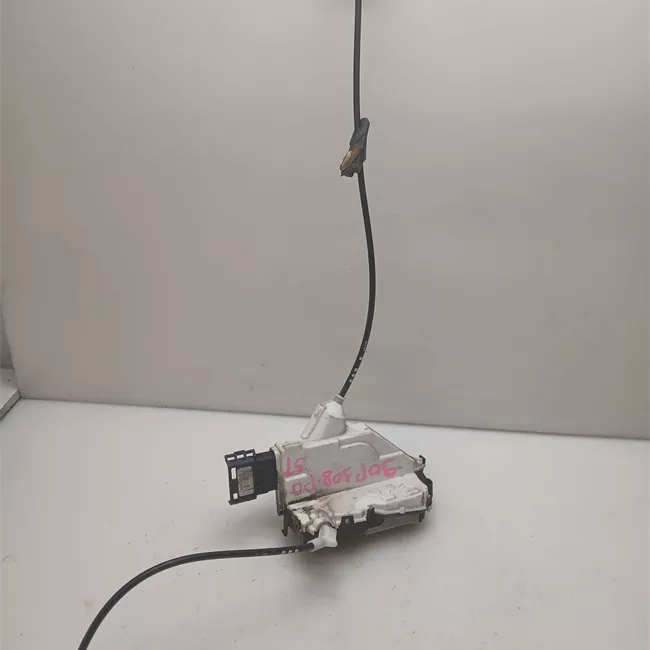 Serratura porta posteriore sinistra